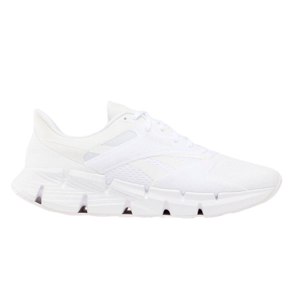 Zapatillas Reebok ZIG DYNAMICA 5 100074658 Hombre