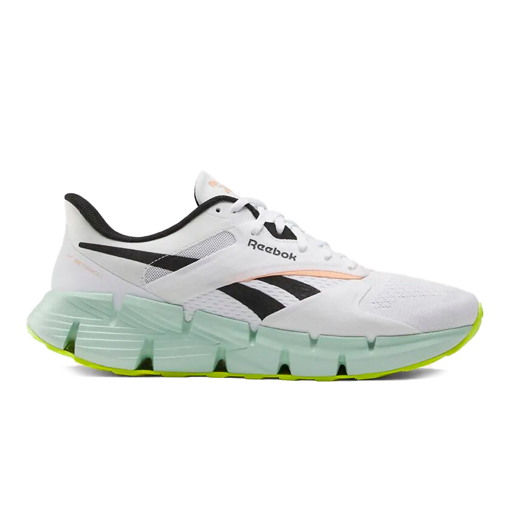 Zapatillas Reebok ZIG DYNAMICA 5 100074908 Hombre