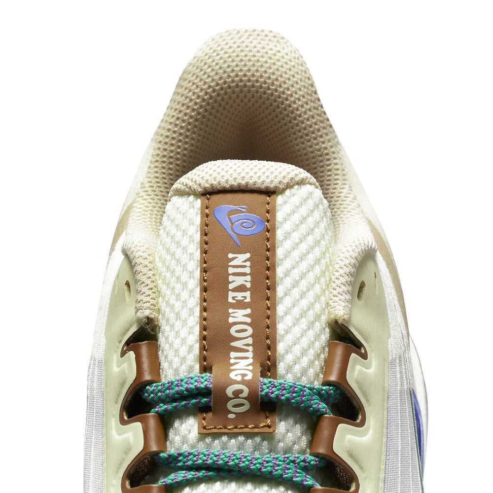 Zapatillas Nike Winflo 9 Premium Hombre - Running | DV8997 100 Beige