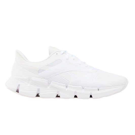 Zapatillas Reebok ZIG DYNAMICA 5 100074658 Hombre