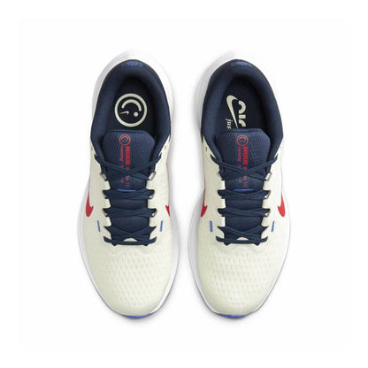 ZAPATILLAS NIKE WINFLO 10