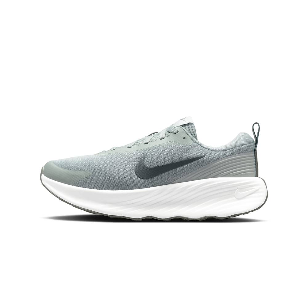 Zapatillas Nike Promina Hombre - Running | FV5285 003 Gris