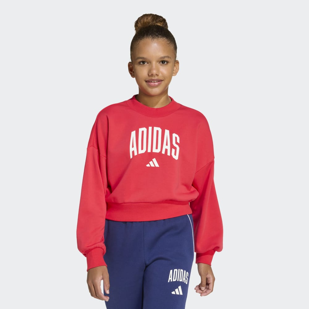 Sudadera Adidas Seasonals Essentials Typography Niños - Urbano | JV7378 Rojo
