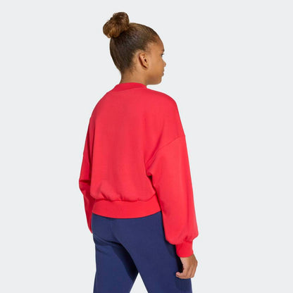 Sudadera Adidas Seasonals Essentials Typography Niños - Urbano | JV7378 Rojo