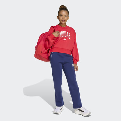 Sudadera Adidas Seasonals Essentials Typography Niños - Urbano | JV7378 Rojo
