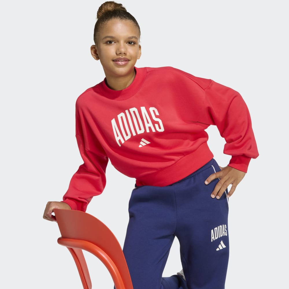 Sudadera Adidas Seasonals Essentials Typography Niños - Urbano | JV7378 Rojo