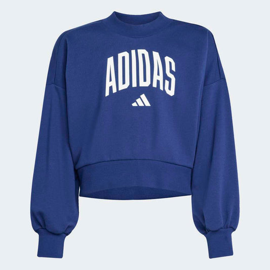 Sudadera Adidas Essentials Typography Unisex - Urbano | JM1535 Azul