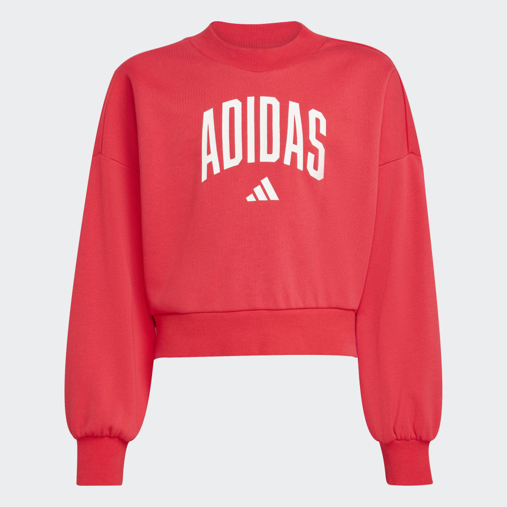 Sudadera Adidas Seasonals Essentials Typography Niños - Urbano | JV7378 Rojo