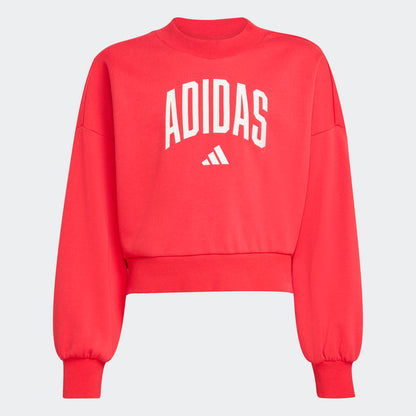 Sudadera Adidas Seasonals Essentials Typography Niños - Urbano | JV7378 Rojo